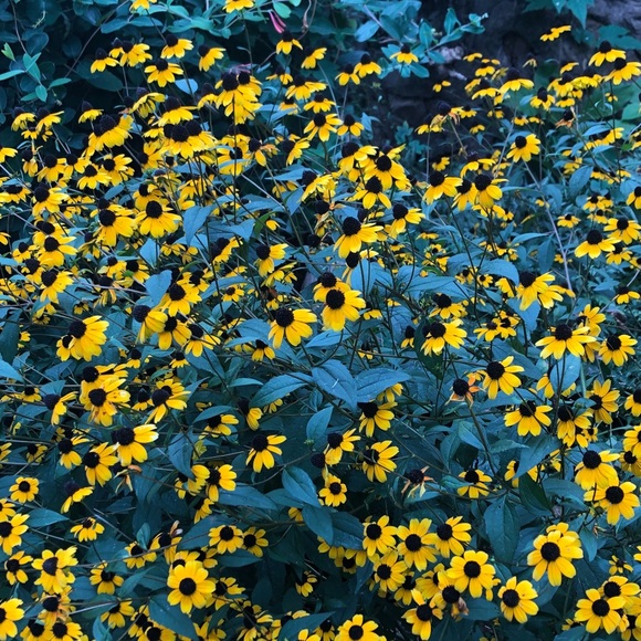 Meet your Posher, Jesse - Picture 1 of 1